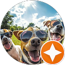 Samuel N. profile picture